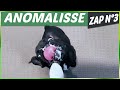 ANOMALISSE ZAP ANIMALIER N°3 - Animaux, Fails, Choc & Insolite