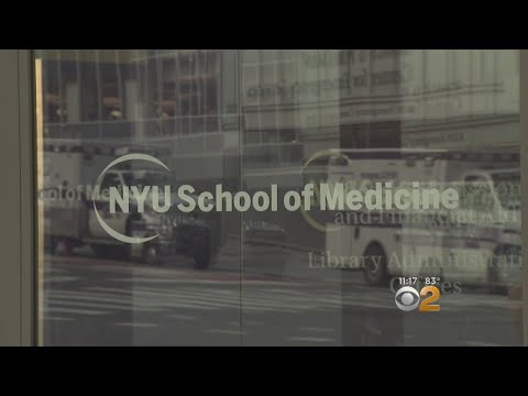 NYU School Of
