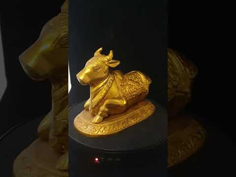 NaNDi (Bull) 1.7kg