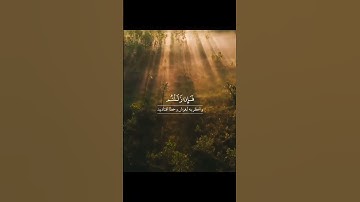 #سوره_بقره، آیات ۲۰۸ تا ۲۰۹گوینده: #بهروز_رضوی مترجم: #مسعود_ریاعی #قرآن #قرآن_كريم #قران