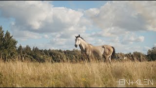 HEIN+KLEIN - Sunrise [ 4K] Resimi