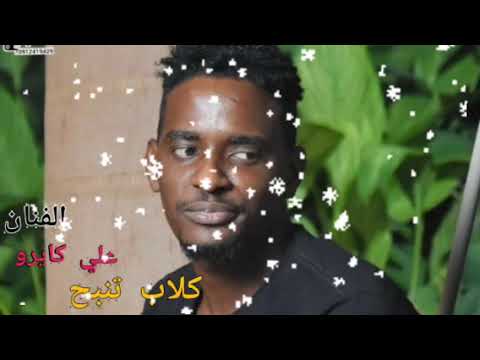 الفنان علي كايرو كلاب تنبح أغاني طرب سوداني   2021