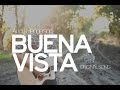 Andy henderson  buena vista original songhuge announcement