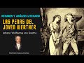 "Las penas del joven Werther" de Goethe | Resumen y Análisis Literario