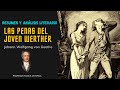 Las Penas del Joven Werther: Análisis y Comprensión