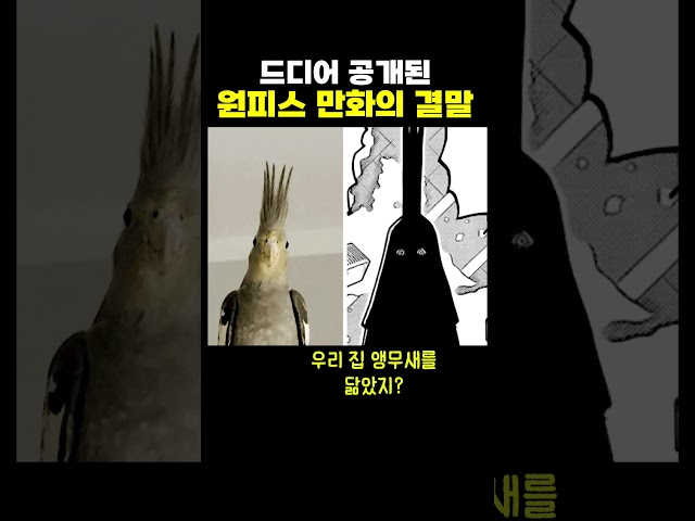 드디어 공개된 원피스 만화의 결말