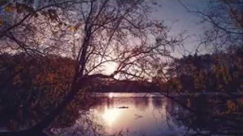 اجمل تلاوة تأخذك الى عالم اخر