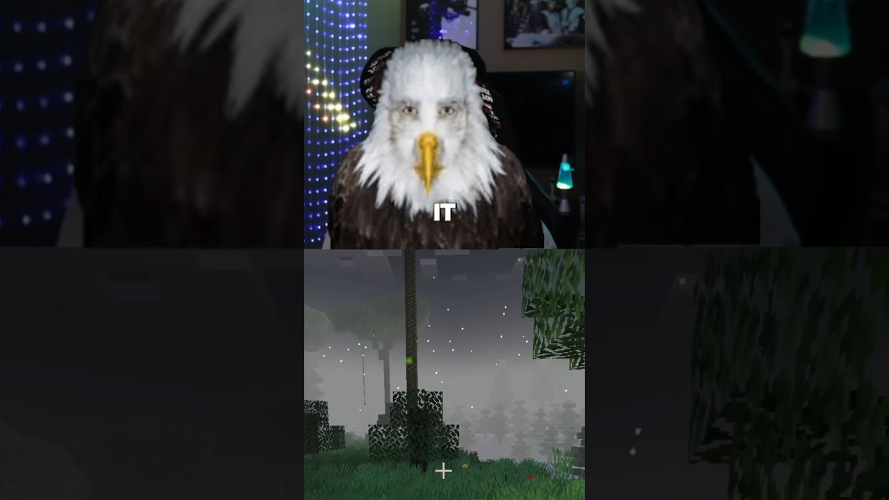 Minecraft and America #ytshorts