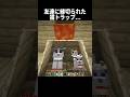 友達に縁切られた猫トラップ... #shorts #マインクラフト#マイクラ