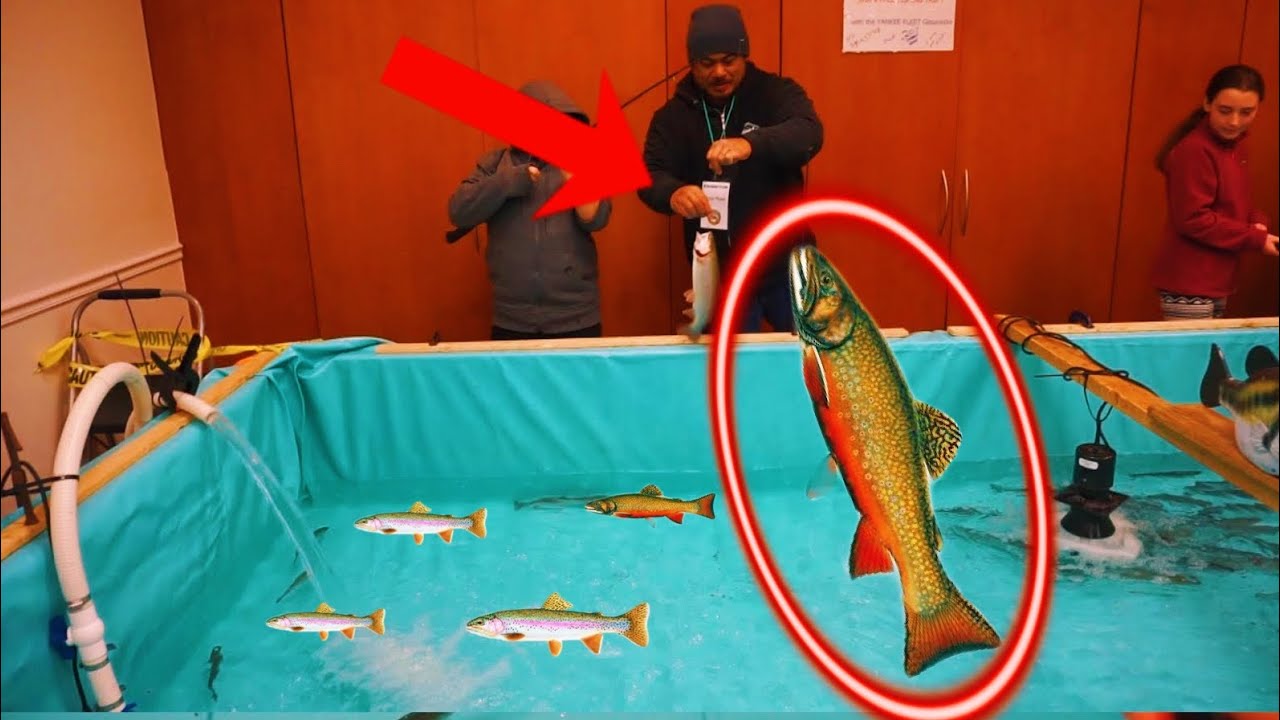 POOL POND TROUT fishing!! YouTube