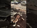 Residents evacuated after storm uproots tree, tears roof off building