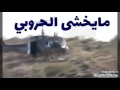 جنوبي جنوبي احلى تصميم فيديوا المنشد عبد القادر الجيلاني 