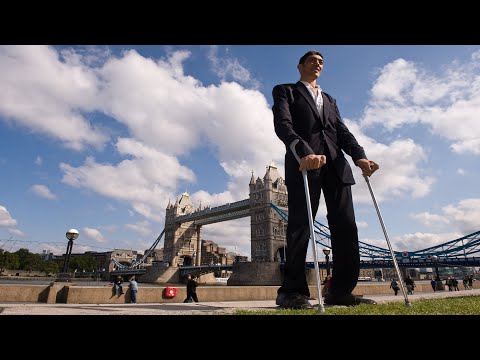 Video: Le persone più alte del pianeta. Un uomo alto