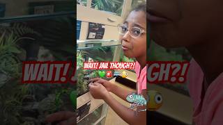 When Baylee saw this chameleon, she immediately made a plan…😂🚔