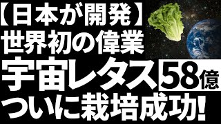 【衝撃】宇宙業界に激震！日本が成功した「宇宙レタス栽培」に世界が震えた！【世界初】