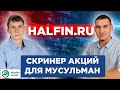 Halfin.ru Рамиль Ибрагимов. Интервью с основателем проекта Halfin stock screener.