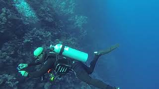 4K Diving Scuba Sharm El Sheikh (Part 5) - "Yalla" Team 2019 (Video by Sergei S.) HD 60fps 5.9.2019