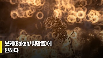보케(Bokeh/빛망울)에 반하다 /김 철  작가