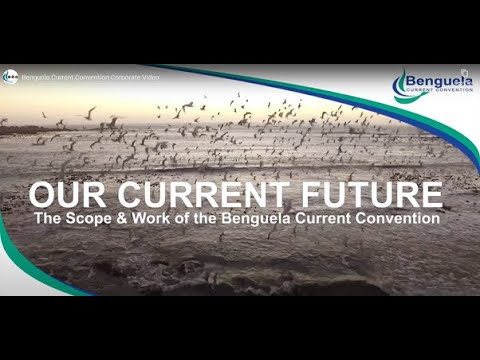 Benguela Current Convention Corporate Video