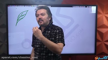 lessons on algorithms and quantum physics childhood education