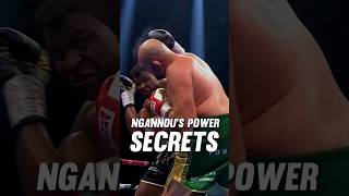 Ngannous Knockout Power Secrets Revealed (Part 1)