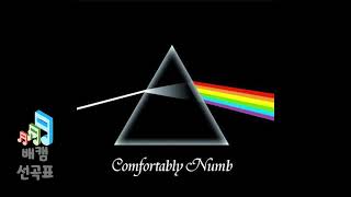 Comfortably Numb - Pink Floyd