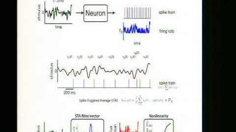 Non-linear system identification - Adam Schneider