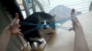 How to do Cat Whiskers, with string, step by step Kitty Whiskers