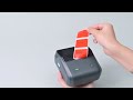 B31 Label Printer Tutorial How to use B31 label maker & NIIMBOT App