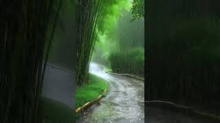 Rainy Road Live Wallpaper #livewallpaper #wallpaper #naturebeauty #nature #rain