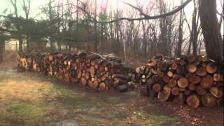 Home Brite Firewood Services