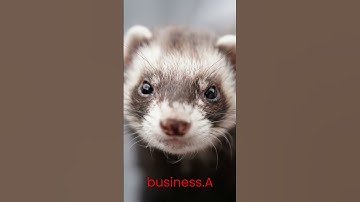 This incredible feat of engineering has been hiding in plain sight for centuries!