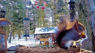 Makovský Silvestrovský Speciál. 31. 12. 2025