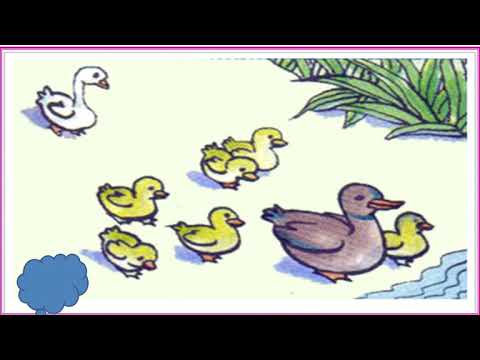 Kể chuyện_Tuần 22_ Bài Con vịt xấu xí
