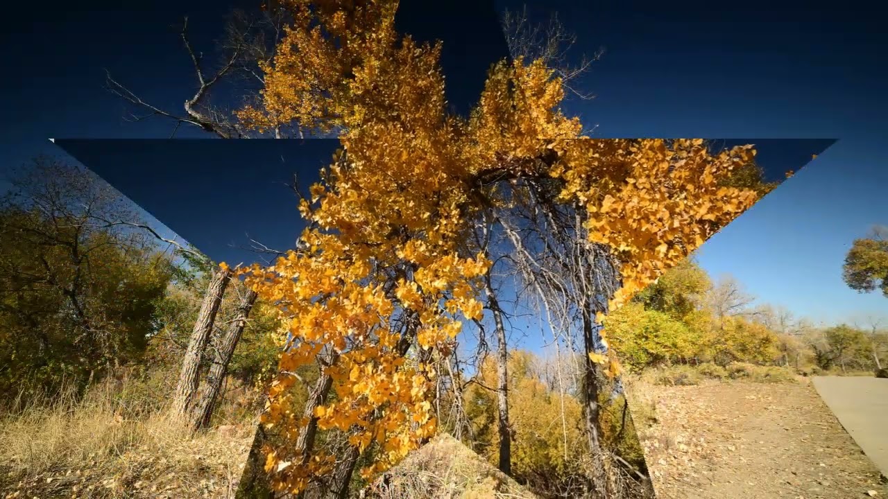 Prospect Park, Wheat Ridge, Colorado, USA 