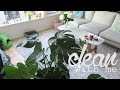 Clean with Me | Seattle Apartment