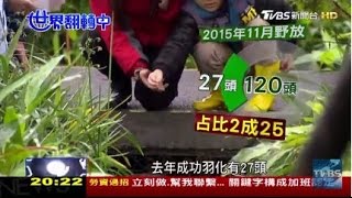 大安森林公園螢火蟲親子復育導入經濟世界翻轉中20170312