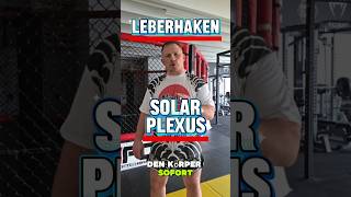 Leberhaken vs. Solarplexus#leberhaken #boxen #muaythai #kivkbixen #k1 #haris #mma  #karate #boxing
