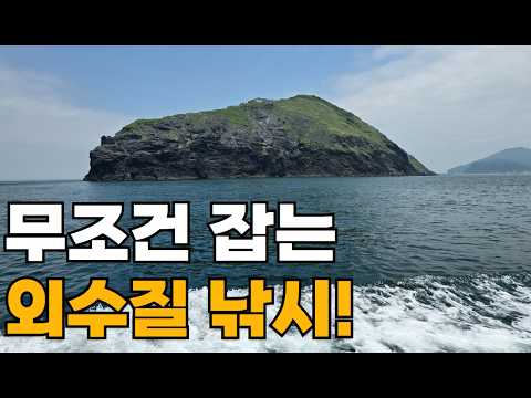 지금 나가면 꽝은 안칩니다! (생새우 외수질낚시)