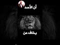 هل تعلم أن الأسد