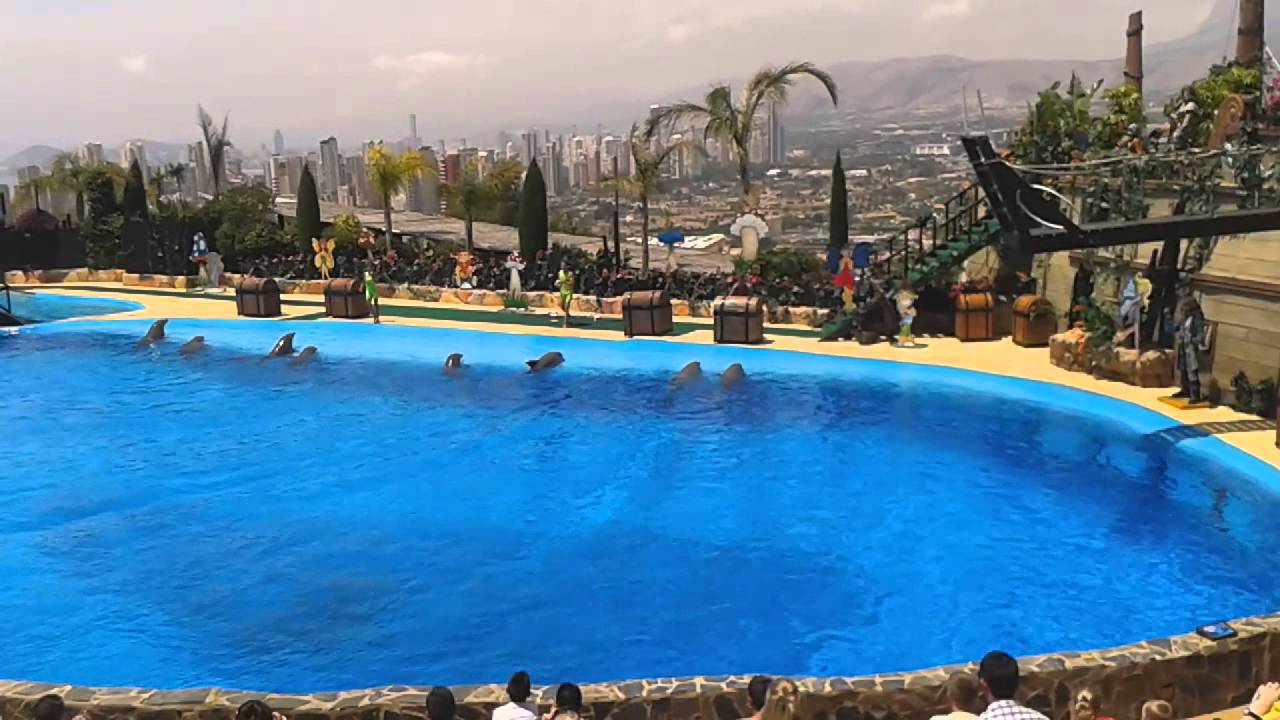 Mundomar Dolphin Show - Benidorm 2014