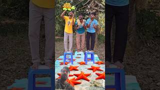 Get ready for nonstop entertainment! From hilarious skits, jaw-dropping challenges,