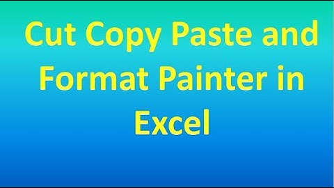 Copy,Cut,Paste and Format Painter in Excel,#28