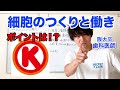 要点バッチリ！細胞のつくりと働き①(核、染色体、細胞膜) 【解剖生理学02】