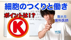 メディカルロックティーチャーリョウ