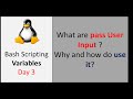 Day 3 🚀 How to Pass User Input in Shell Scripting | Linux Shell Scripting Tutorial for DevOps