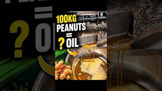 Can 100kg of Peanuts Really Produce This Much Oil? | Peanut Oil Extraction