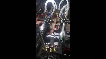 ST040PP+MP Automatic Case Lining Machine with Magnet Pasting