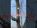ऊपर वाला देख रहा है #youtube #youtubeshorts #cctv #hdcamera #cpplus #smartphone