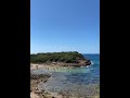 سويم مع الحوت 🐟🏊♂️ #swimming #بحر #فلوق #bts #blackpink #كأس_العالم #house #viral #video #shorts